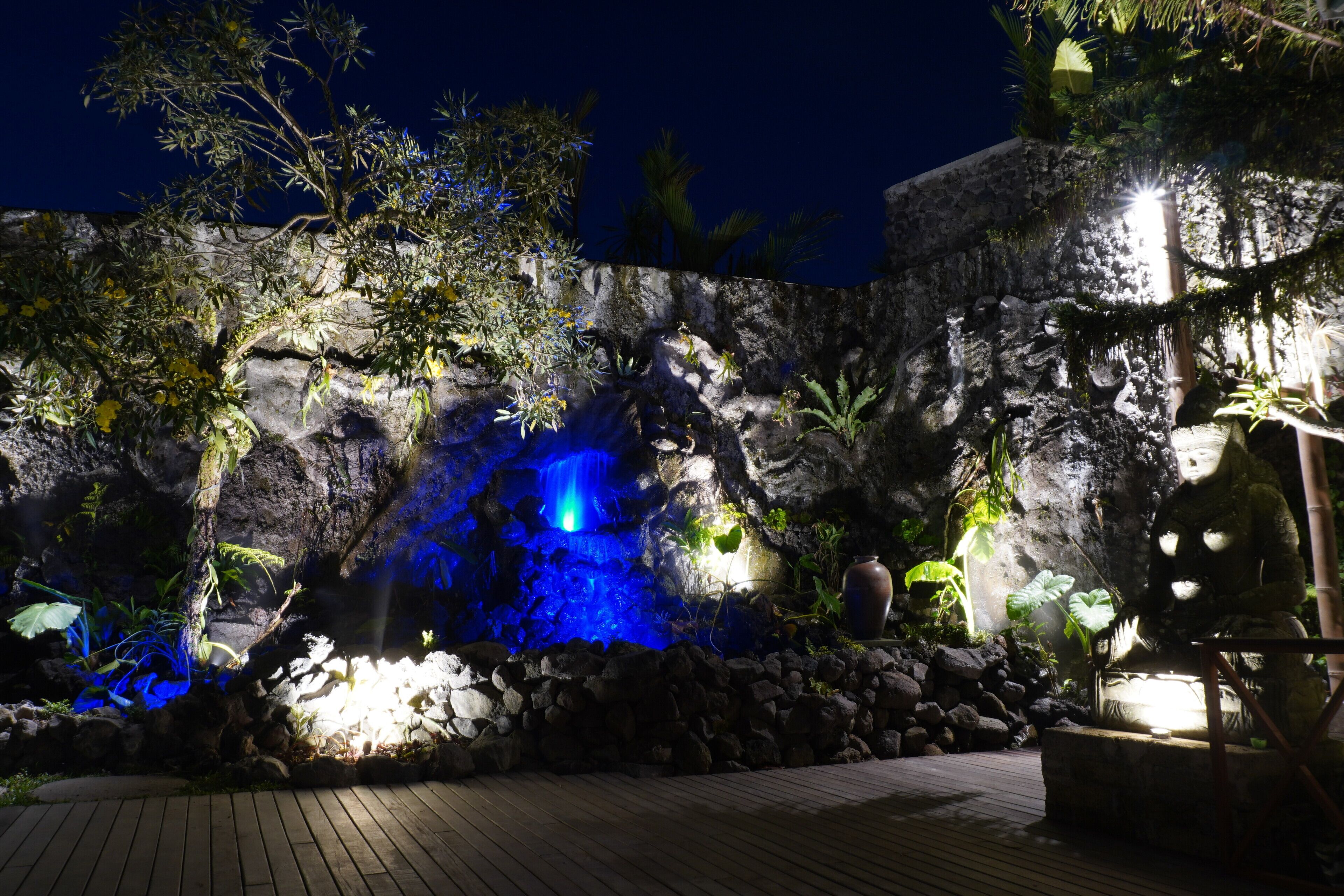 Escena nocturna al aire libre con una formación rocosa, una cascada y plantas iluminadas.