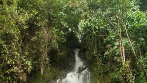 Ein Wasserfall stürzt über eine felsige Klippe, umgeben von dichtem Grün.