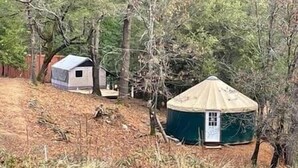 A yurt with a door, surrounded by trees.
