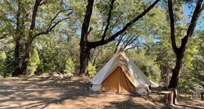 Group Camping Compound