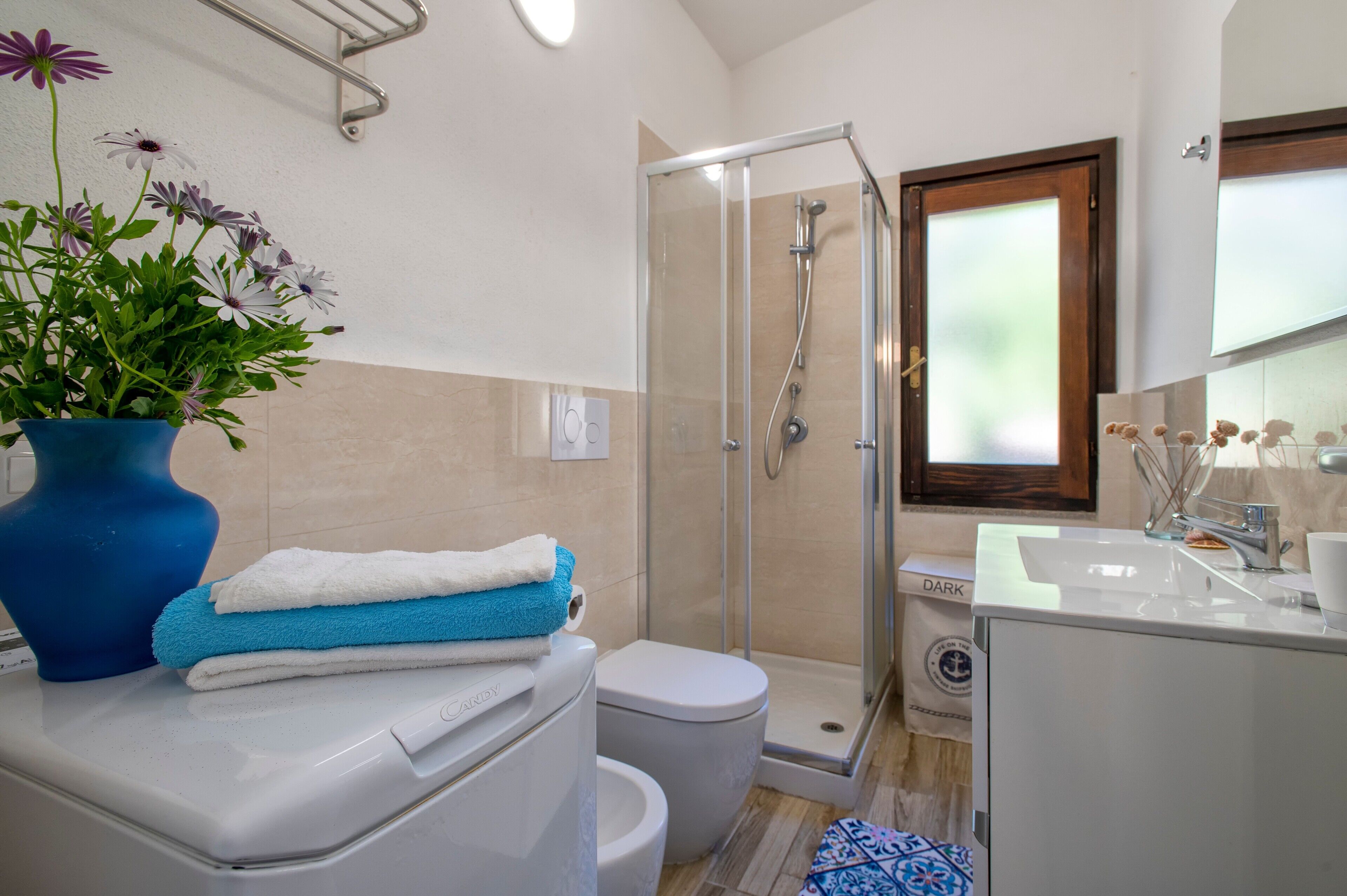 Shower, hair dryer, towels