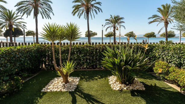 A landscaped garden with palm trees, a hedge, and a view of the sea. - Luxury Beachfront Apartment (Cambrils)