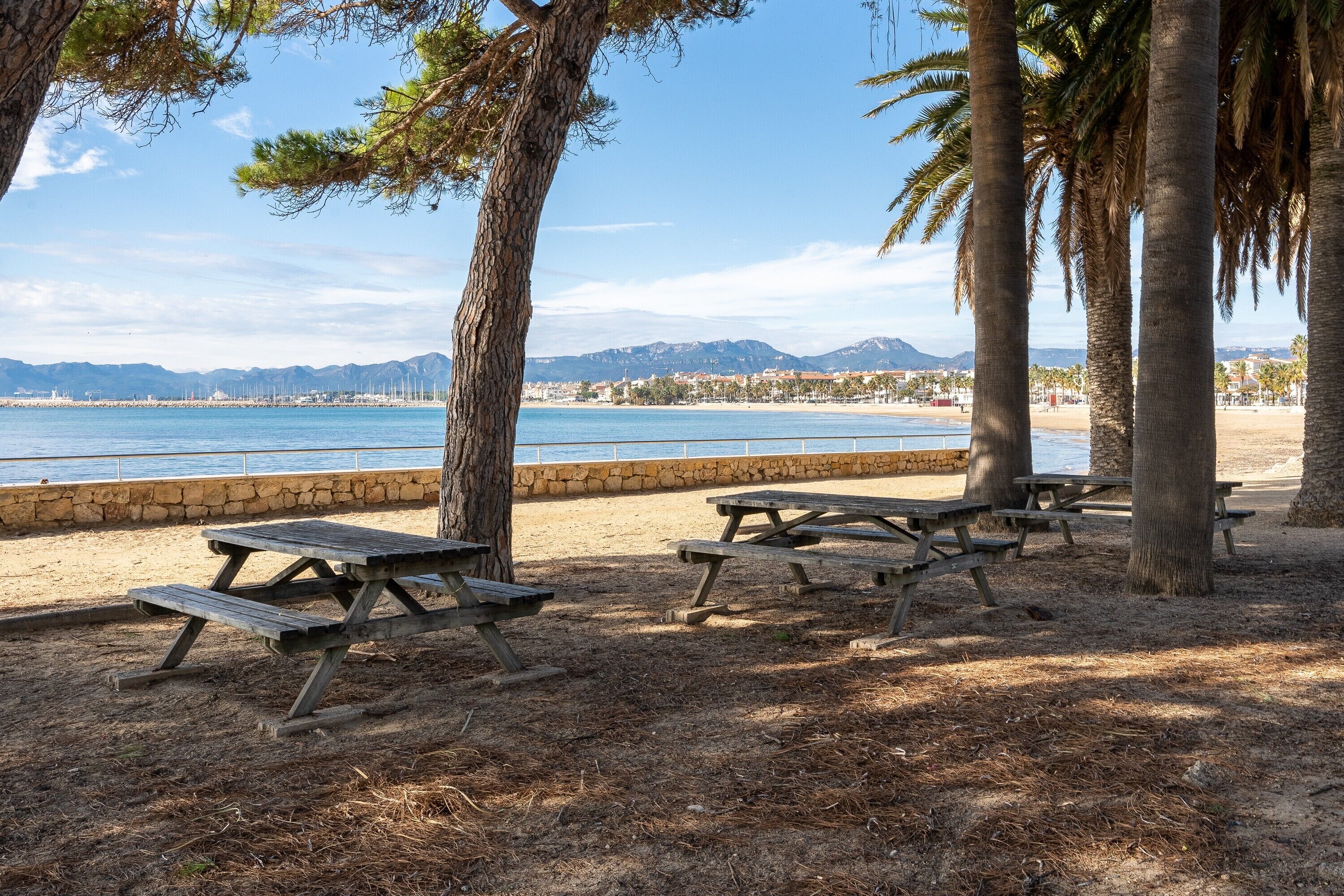 Un área de picnic frente a la playa, con bancos y árboles, con vista a un mar tranquilo y montañas distantes.