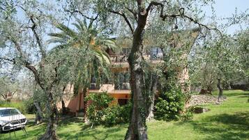 A villa with a large garden, a palm tree, and a white car parked in front.