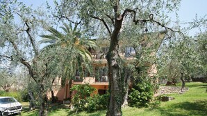 Une villa avec un grand jardin, un palmier et une voiture blanche garée devant.