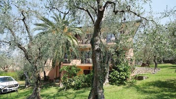 Uma villa com um jardim amplo, uma palmeira e um carro branco estacionado na frente.
