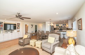 Télévision, cheminée, jeux vidéo, lecteur de DVD