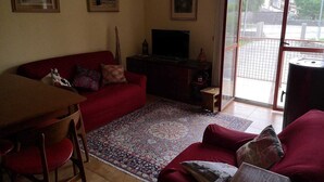 A living room with a red sofa, a TV, and a patterned rug.