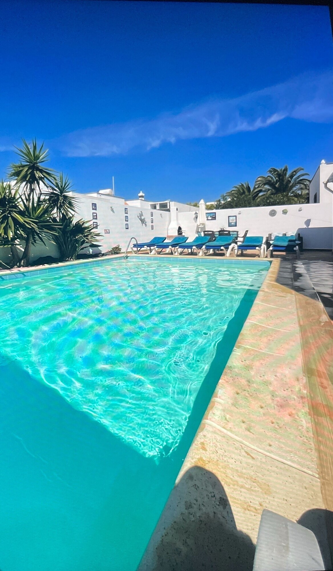 オーナーのプロフィール画像