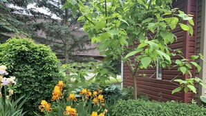A garden with various plants and flowers, a tree, and a red building in the background.