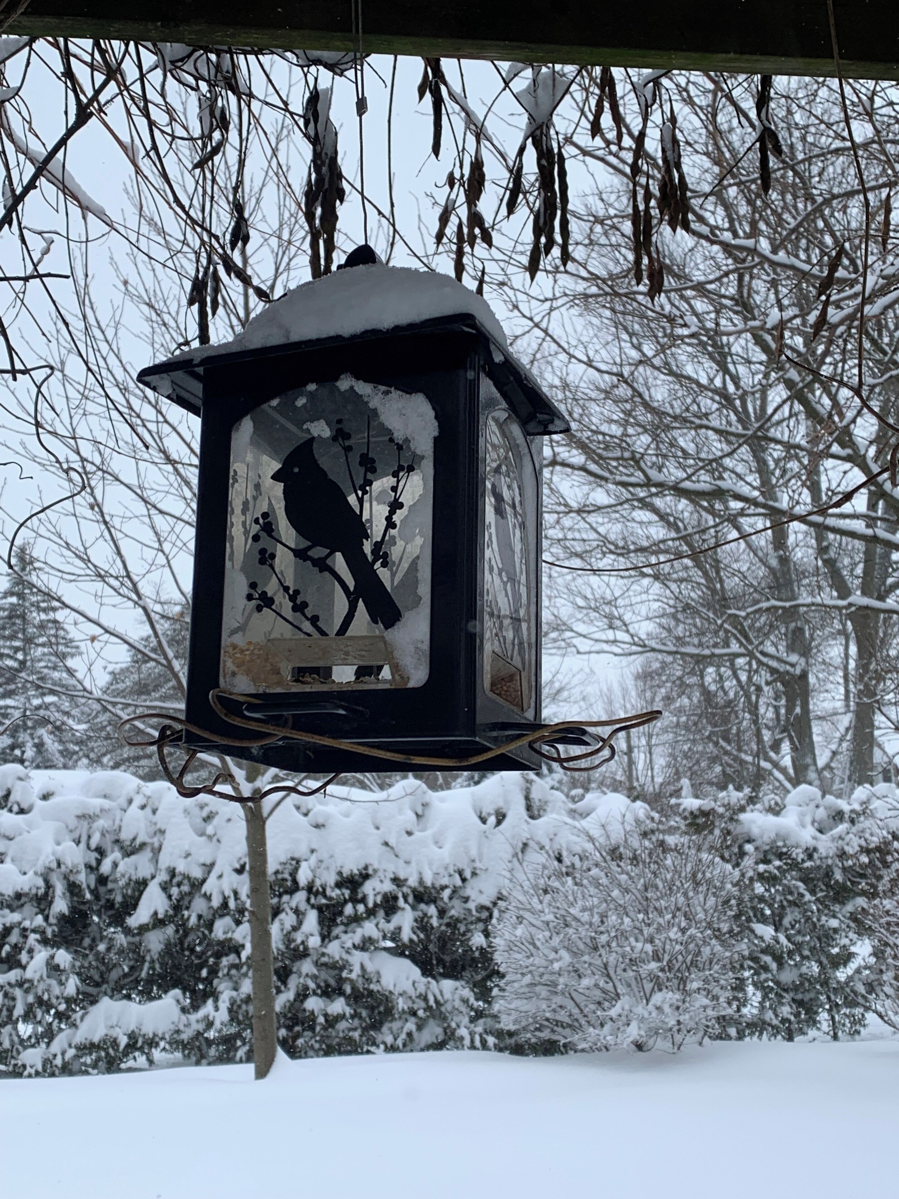 Ein Vogelhaus mit einer Vogelkontur an einem Zweig, umgeben von schneebedeckten Bäumen und Büschen.
