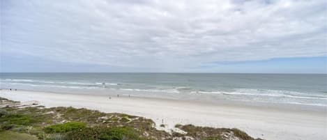 A beach with a grassy area and a fence in the foreground.