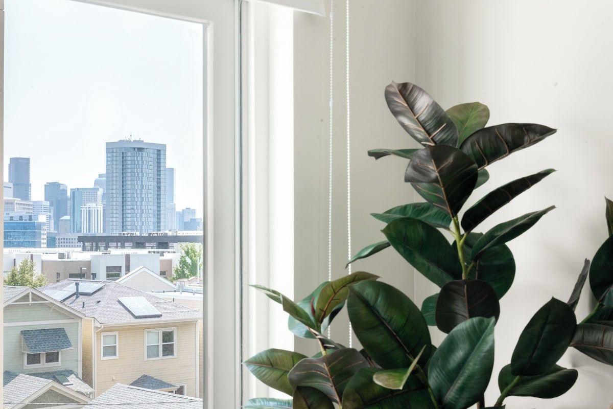 Ein Zimmer mit großem Fenster und Blick auf eine Stadtlandschaft, einer Topfpflanze und einer weißen Wand.
