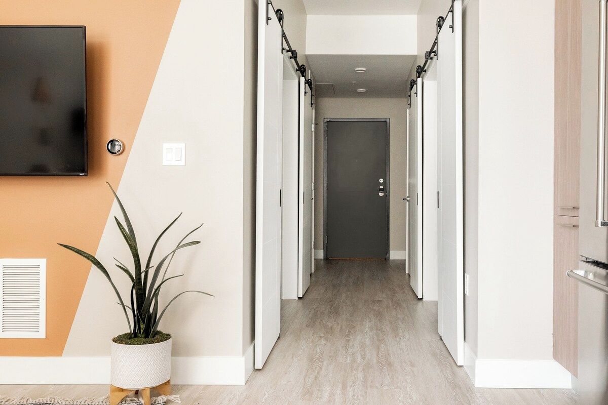 Un couloir avec un téléviseur à écran plat fixé au mur, une plante en pot et une porte au fond.