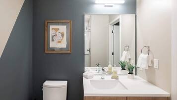 Regadera, secadora de cabello, toallas