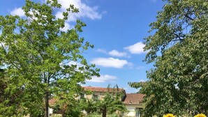 Un champ de tournesols avec un bâtiment en arrière-plan.