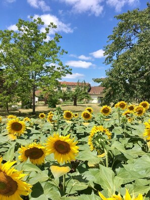 Áreas de la propiedad