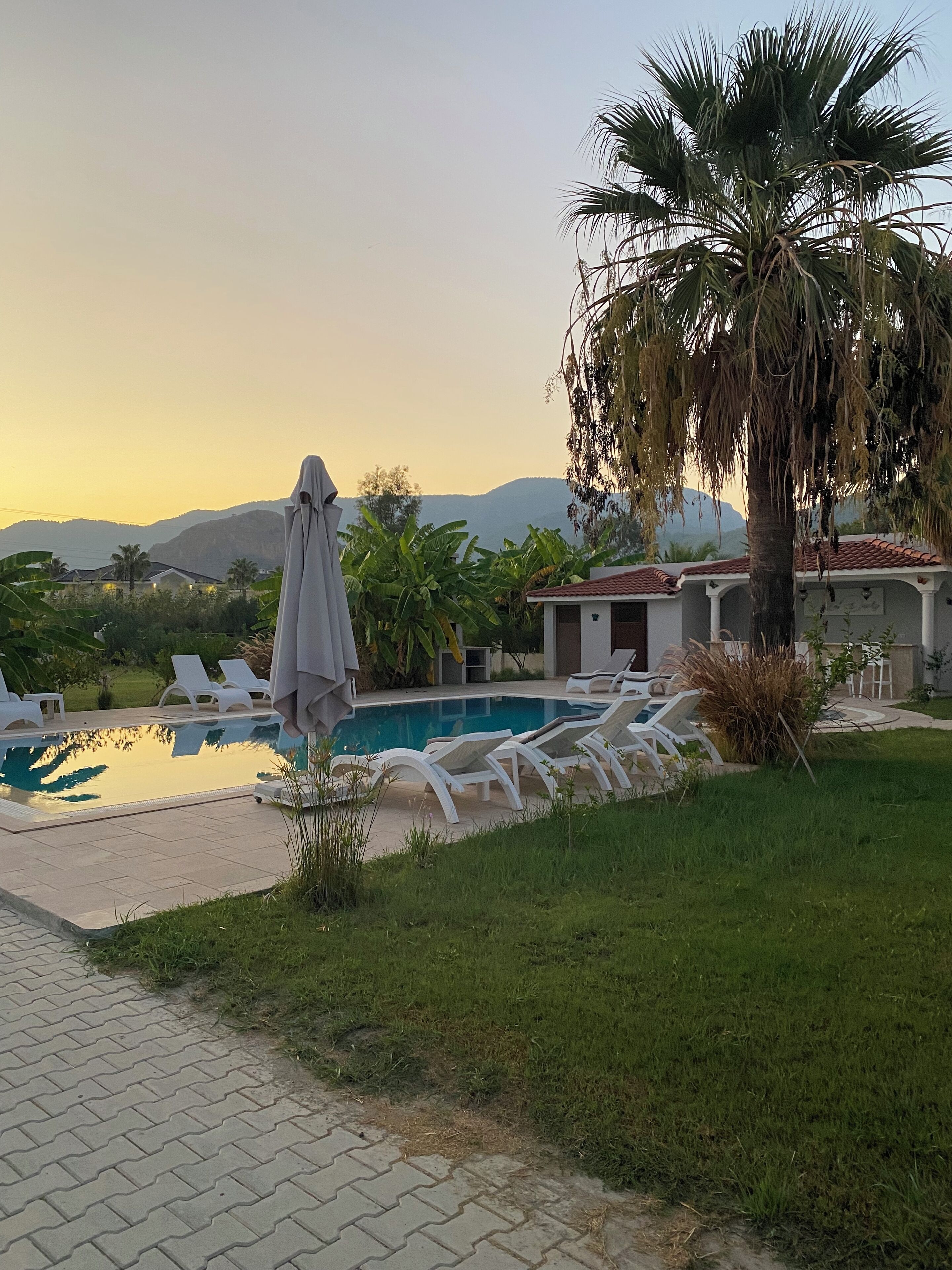 A pool area with lounge chairs, a palm tree, and a view of mountains.