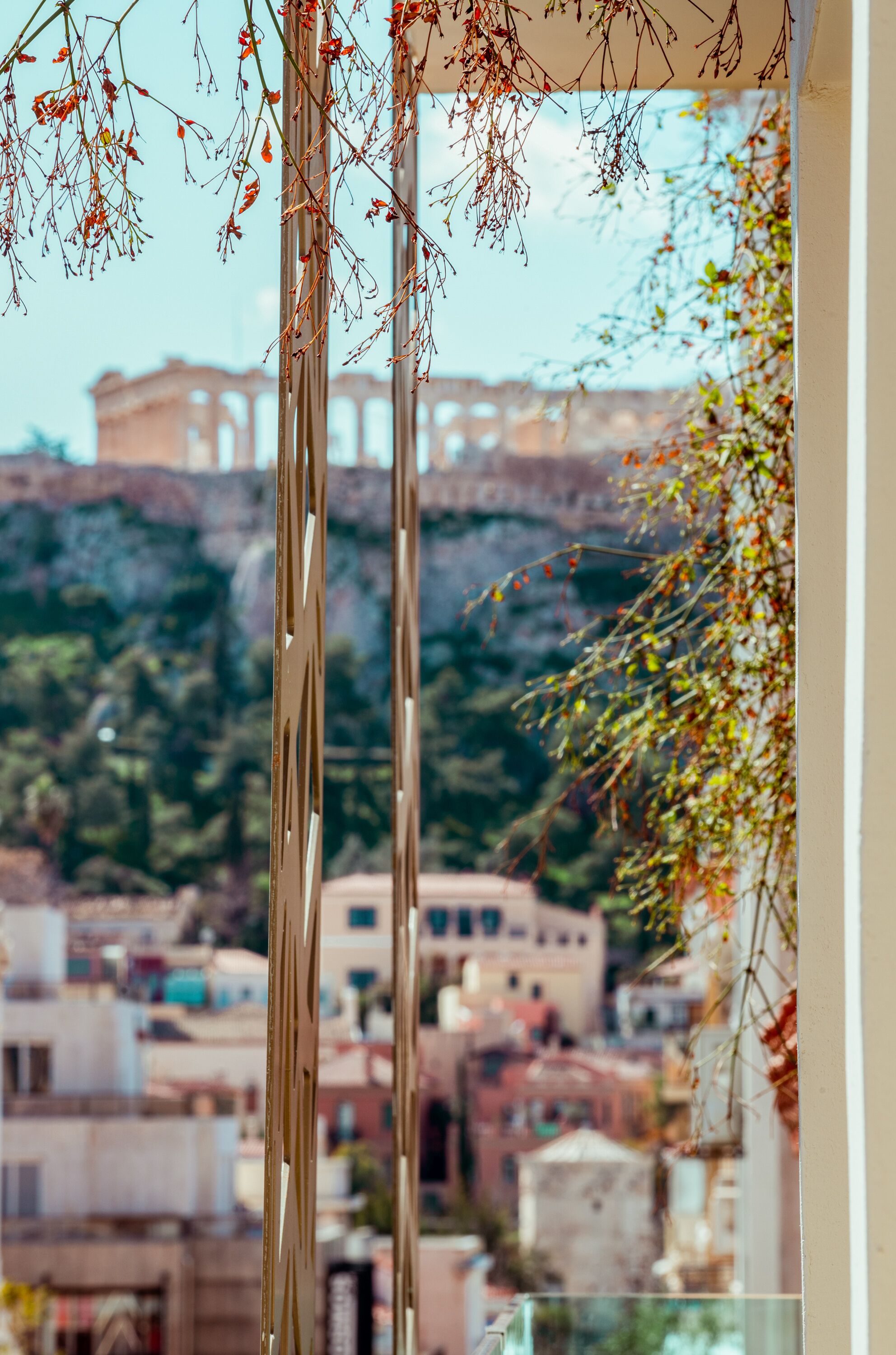 premium room with balcony (hotel) | terrace/patio
