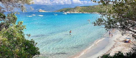 在海灘附近、沙灘巾