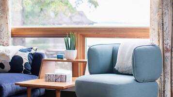 TV, fireplace, books