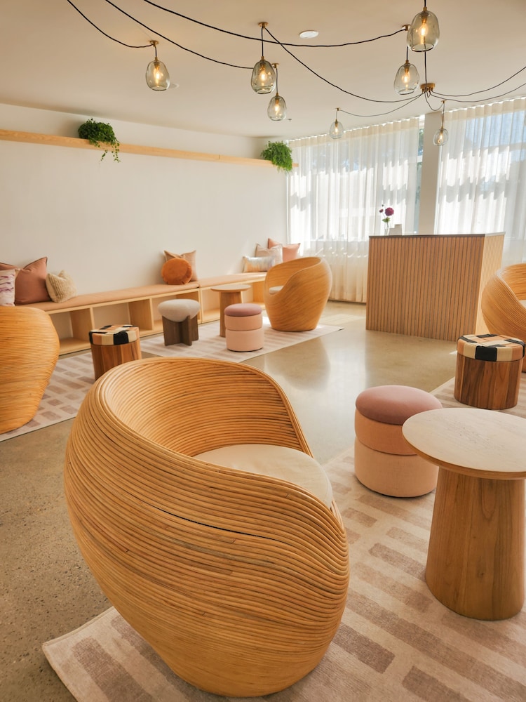 Shepherd's Run by null