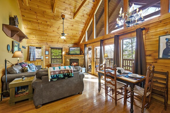 Smart TV, fireplace, books