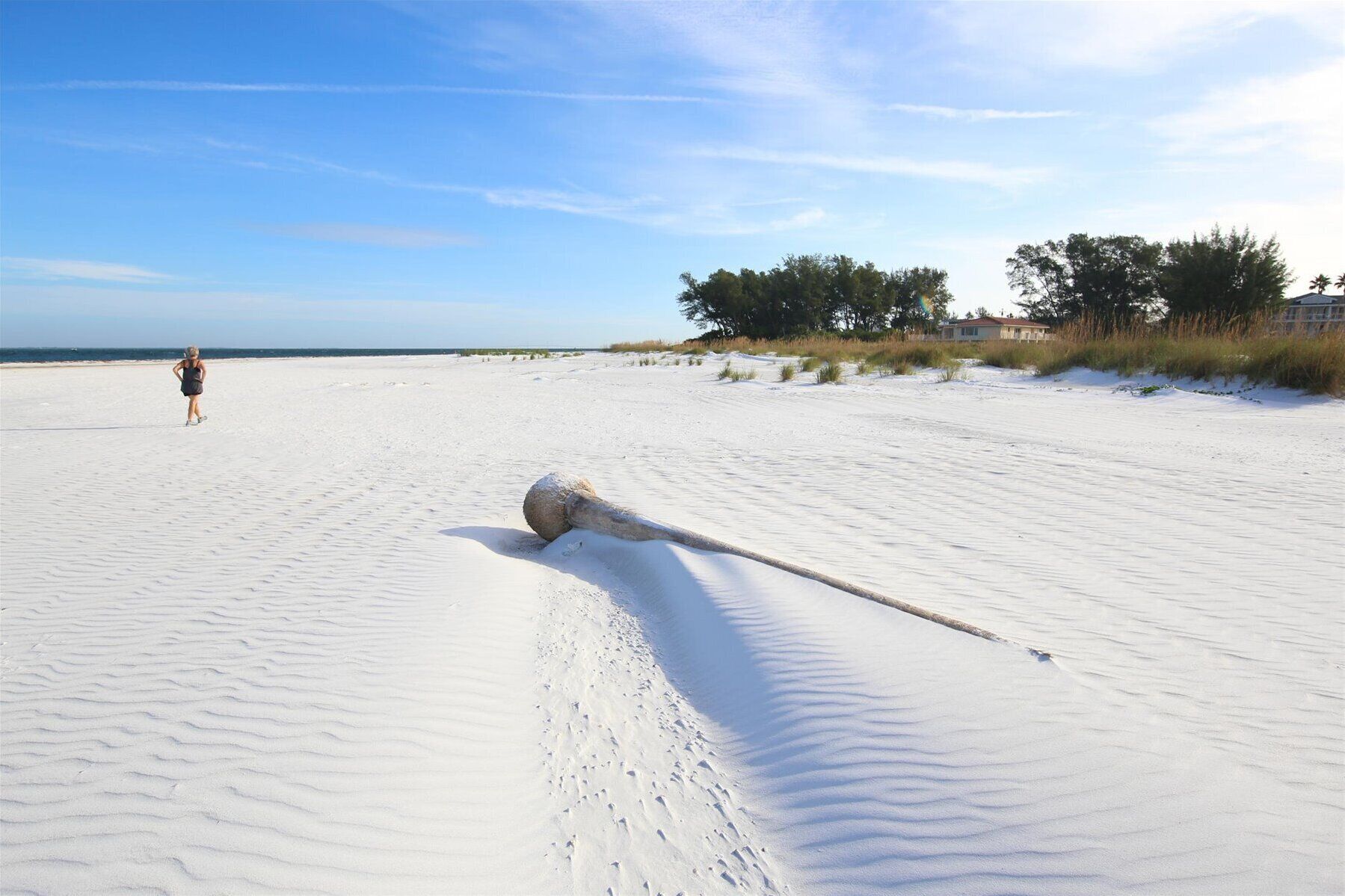 Beach nearby, sun loungers, beach towels