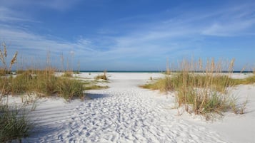 Nær stranden, solsenger og strandhåndklær