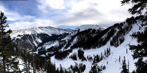 Eine gebirgige Landschaft mit schneebedeckten Gipfeln und dichten Wäldern.