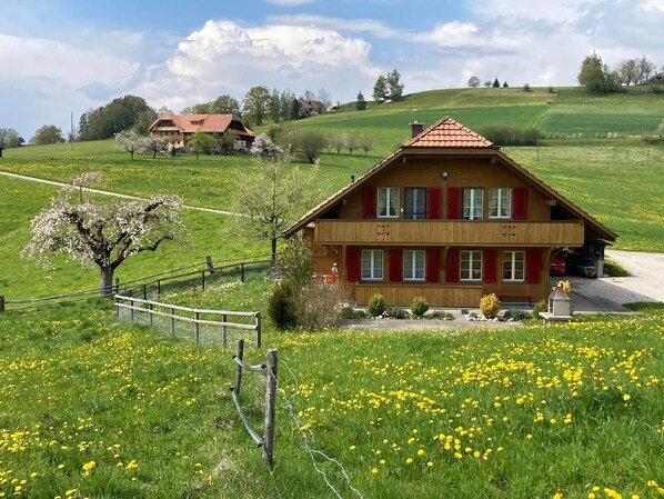 Exterior - Burdock (Mamishaus)