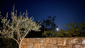 Un muro de piedra con un árbol en primer plano.