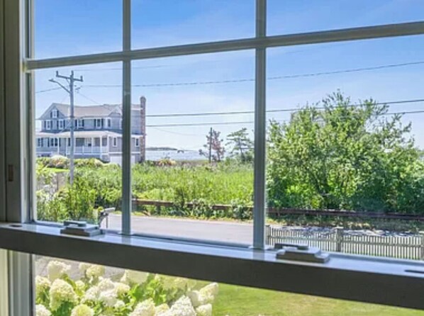 A window with a view of a house, greenery, and a road.
