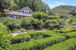 Property grounds - Luxury Home w/ Pool & Vineyard Views (Santa Rosa)