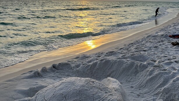 A beach with sand sculptures and a person in the distance. - Pet-Friendly Maravilla Condo–Beach Ramp, Pools, Free Beach Setup, 1BDR + Bunks (Miramar Beach)
