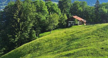 Vacation home with conservatory, fireplace and garden barbecue in a secluded location in the mountains