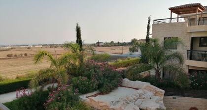 Modern Apartment , Oasis Residence