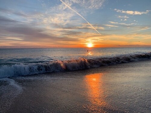 Flirt with the Flamingos in Beach Bliss ~Just Steps to the Sand