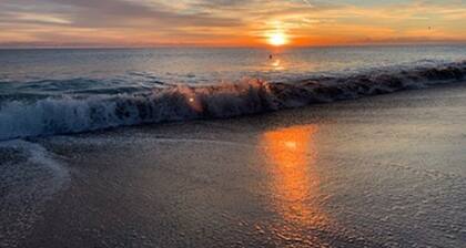 Flirt with the Flamingos in Beach Bliss ~Just Steps to the Sand