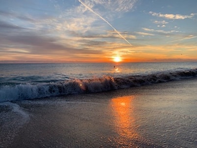 Flirt with the Flamingos in Beach Bliss ~Just Steps to the Sand
