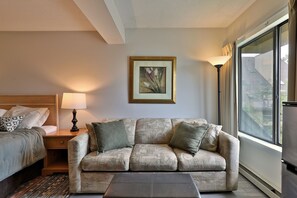 TV, fireplace, DVD player, video library