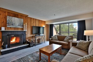 TV, DVD player, music library, video library