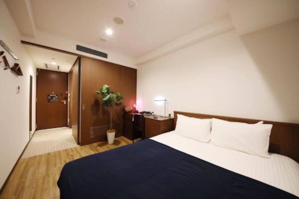 A hotel room with a bed, bedside table, lamp, and a potted plant.