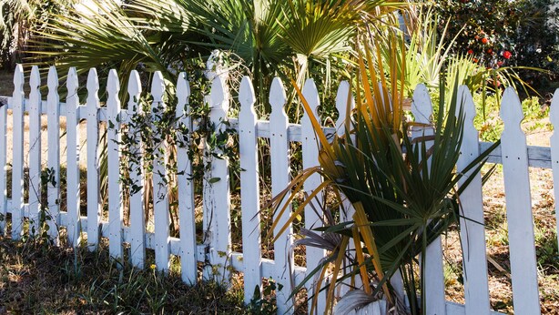 Una casa blanca con techo a dos aguas, rodeada por un cerco blanco de piquetes y diversas plantas tropicales.