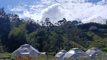 Parkering på området