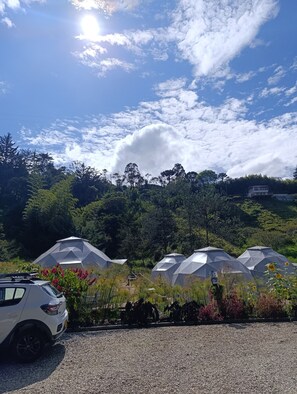 Third-party on-site parking