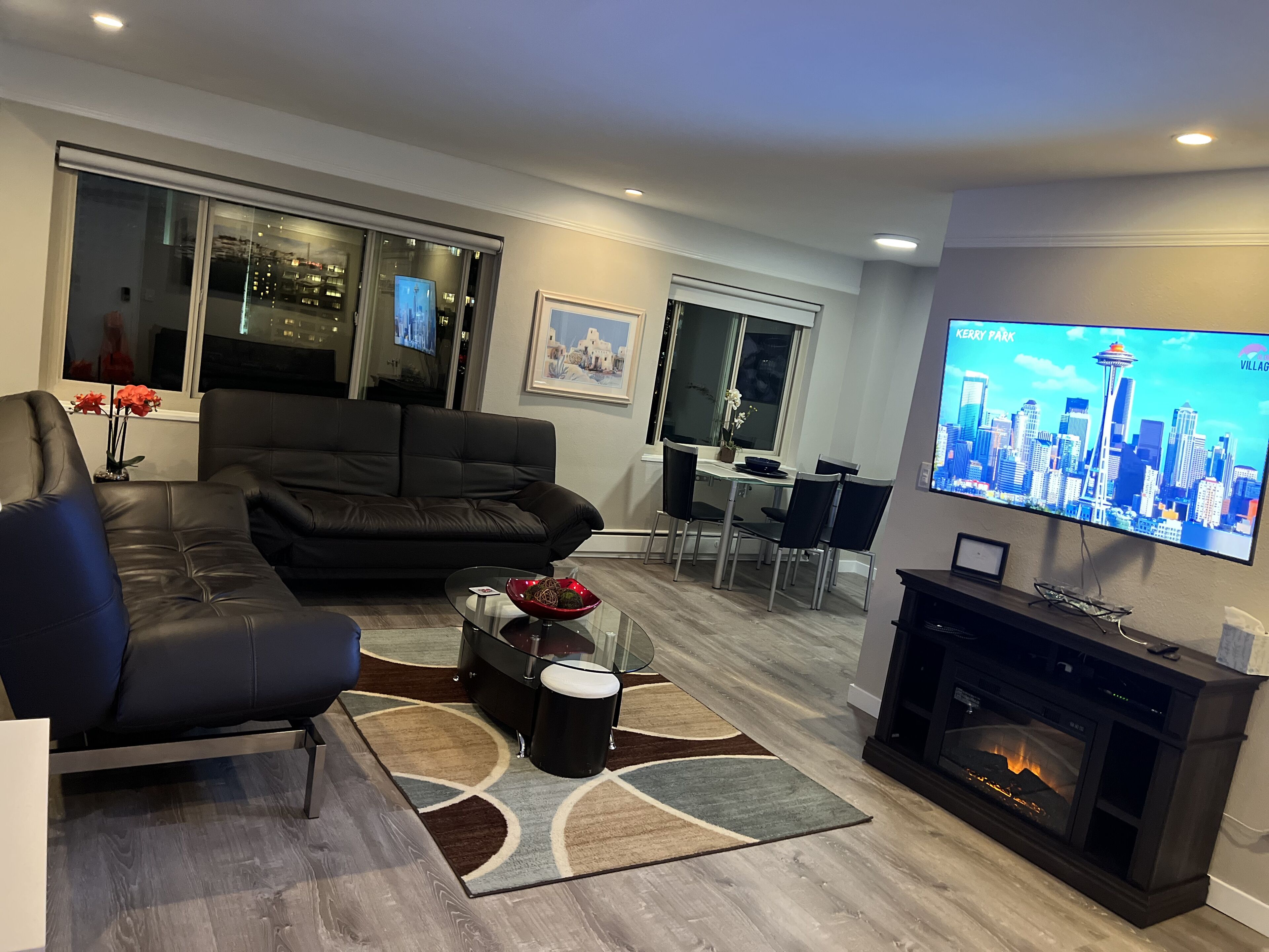 Smart TV, fireplace, books