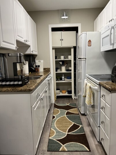 2 bedroom penthouse downtown Seattle