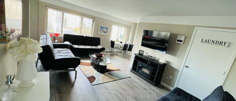 Smart TV, fireplace, books