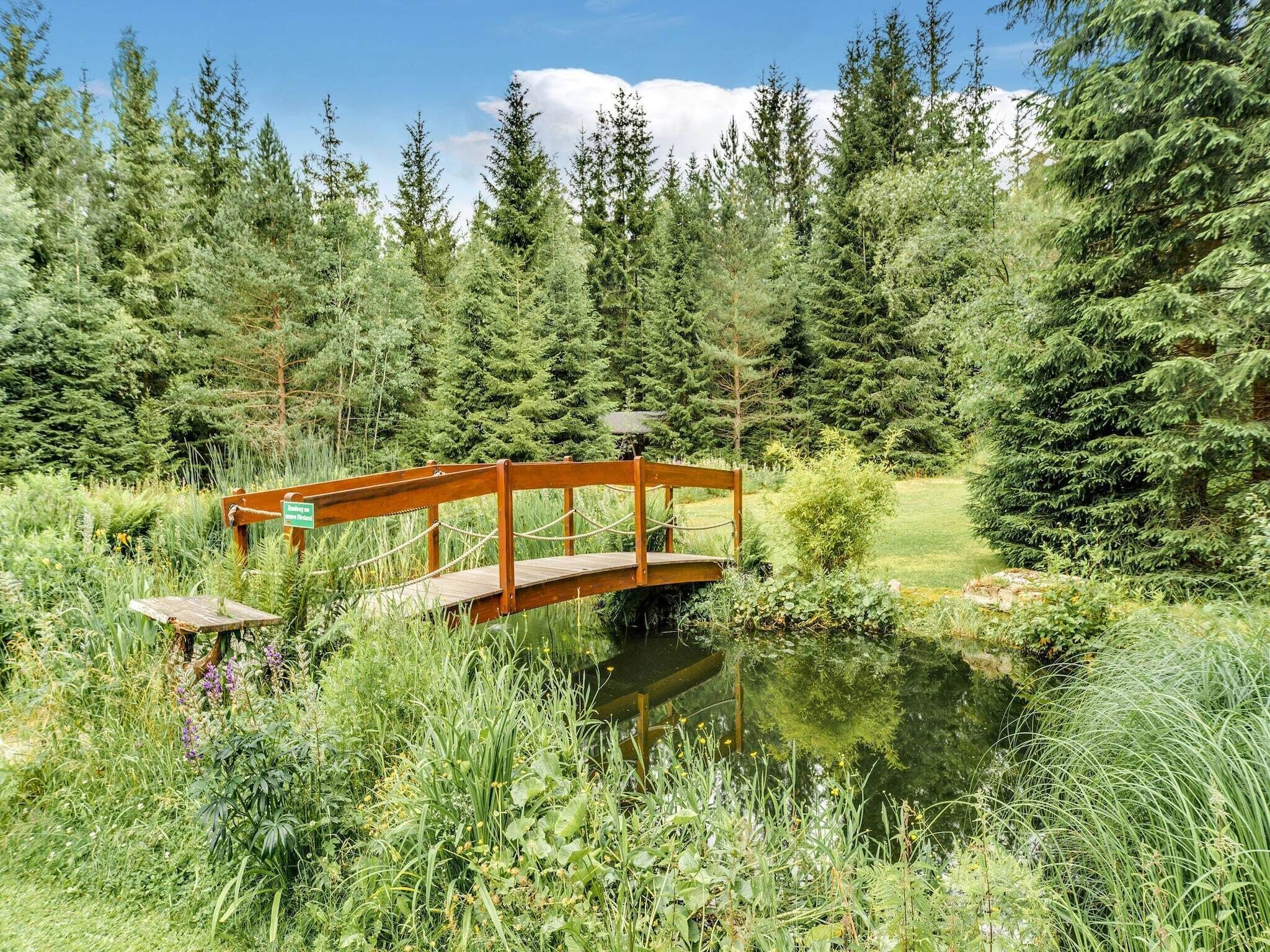 A wooden bridge over a pond surrounded by dense forest.